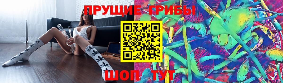 Галлюциногенные грибы прущие грибы Челябинск