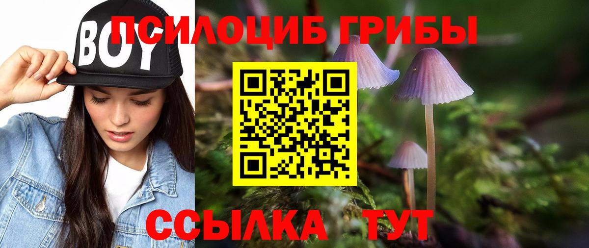 Псилоцибиновые грибы MAGIC MUSHROOMS  Псилоцибиновые грибы Magic Shrooms  Вход с VPN  Челябинск 